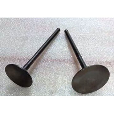 Arora Hector  Emme-Eksoz Si̇bobu